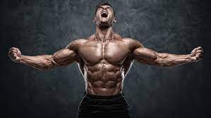 wellhealth how to build muscle tag